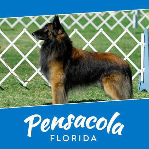 Pensacola Dog Fanciers